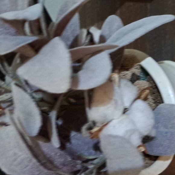 Elegant White Potted Faux Plant EUC - Picture 2 of 6